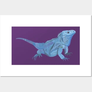 Blue Iguana Posters and Art